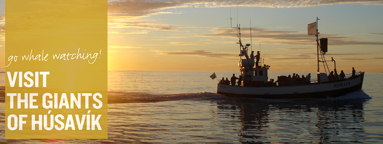 Visit the giants of H&uacute;sav&iacute;k